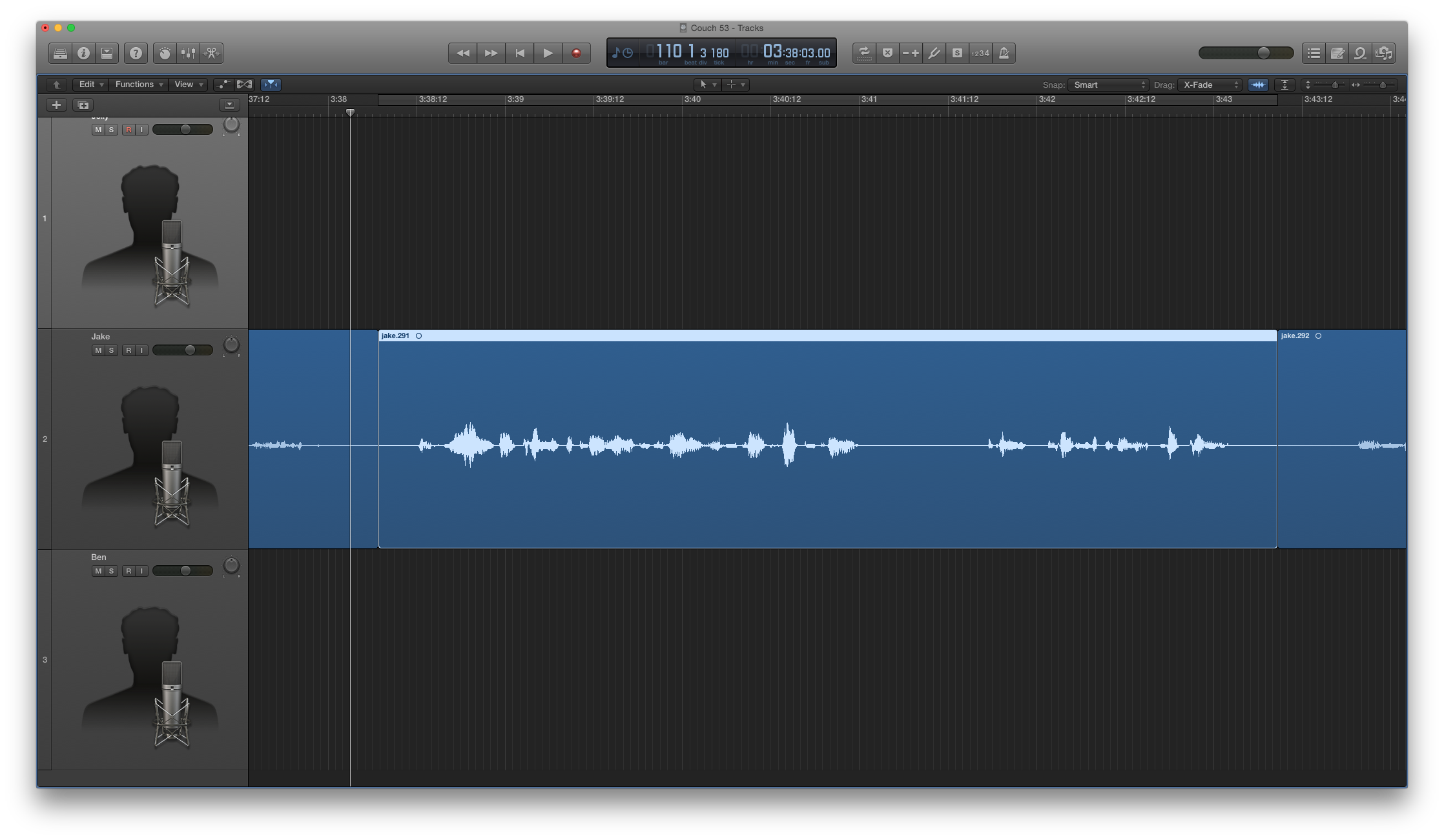 The snippet I'll be stitching up.